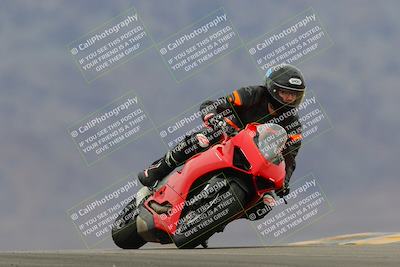 media/Jan-15-2023-SoCal Trackdays (Sun) [[c1237a034a]]/Turn 9 (2pm)/
